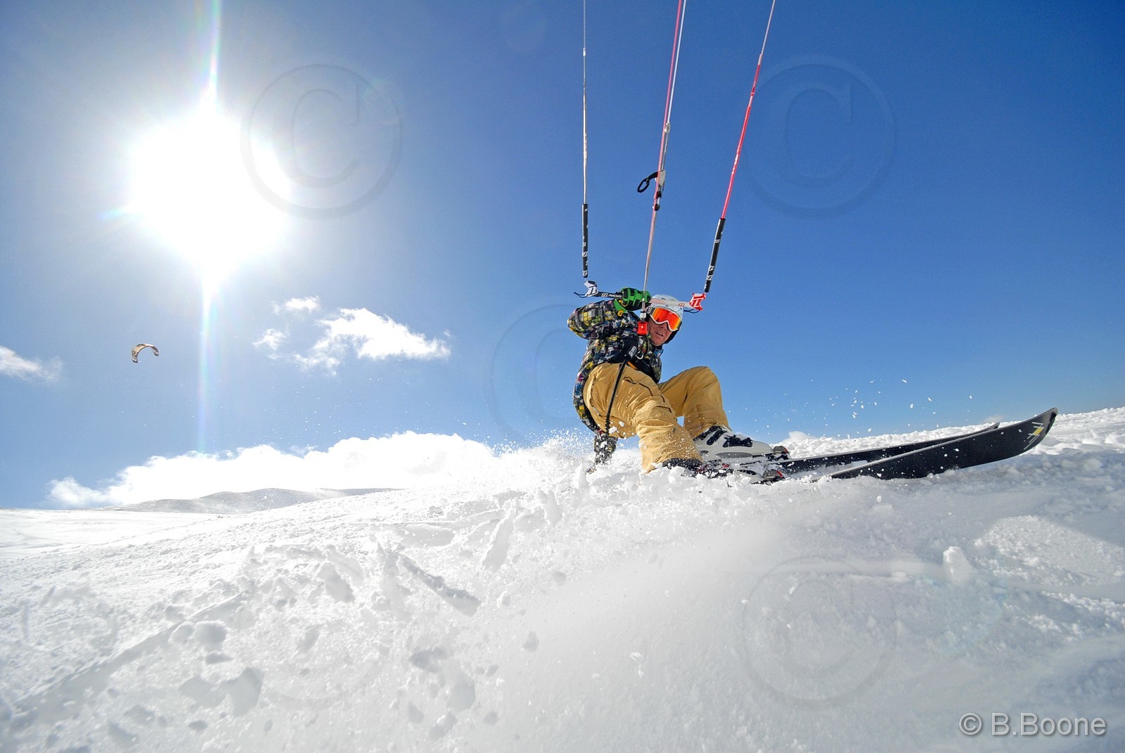 100129-067©B.Boone