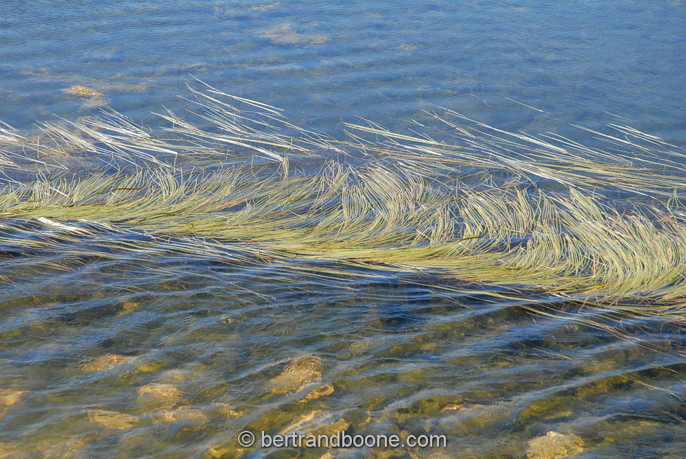 lac lérié (05)