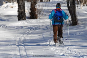 raquettes a neige
