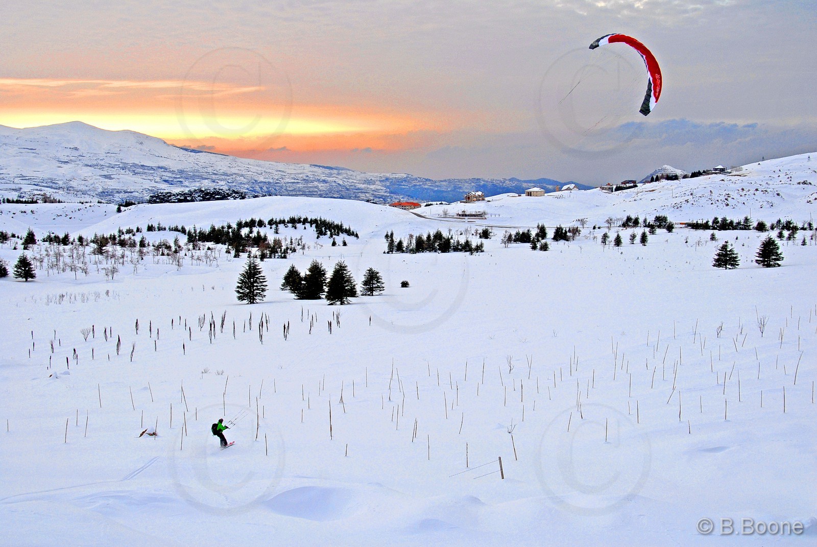 100128-243©B.Boone