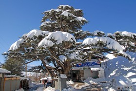 snowkite au Liban