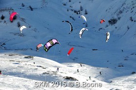 SKM 2015