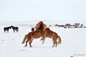 snowkite en Islande