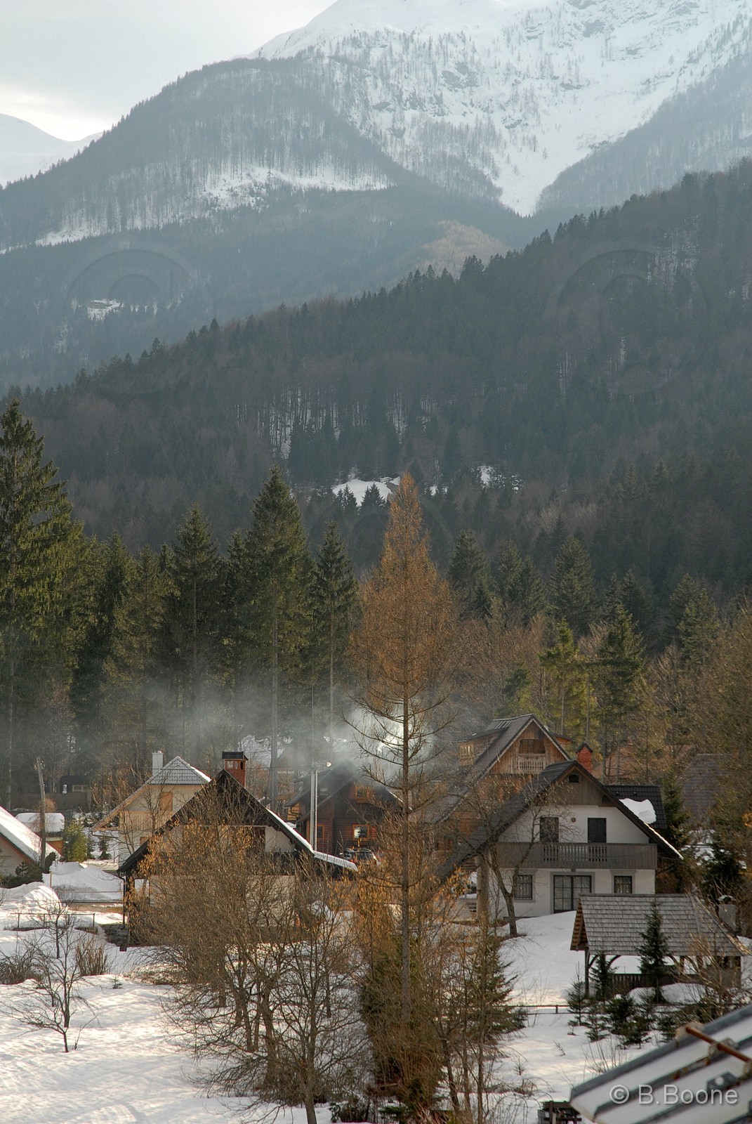 090318-002©B.Boone