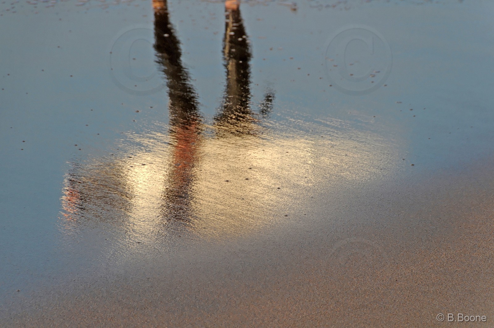 110206-425©B.Boone