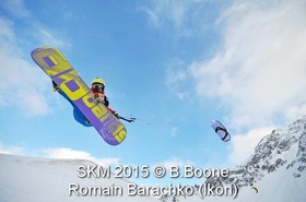 SKM 2015