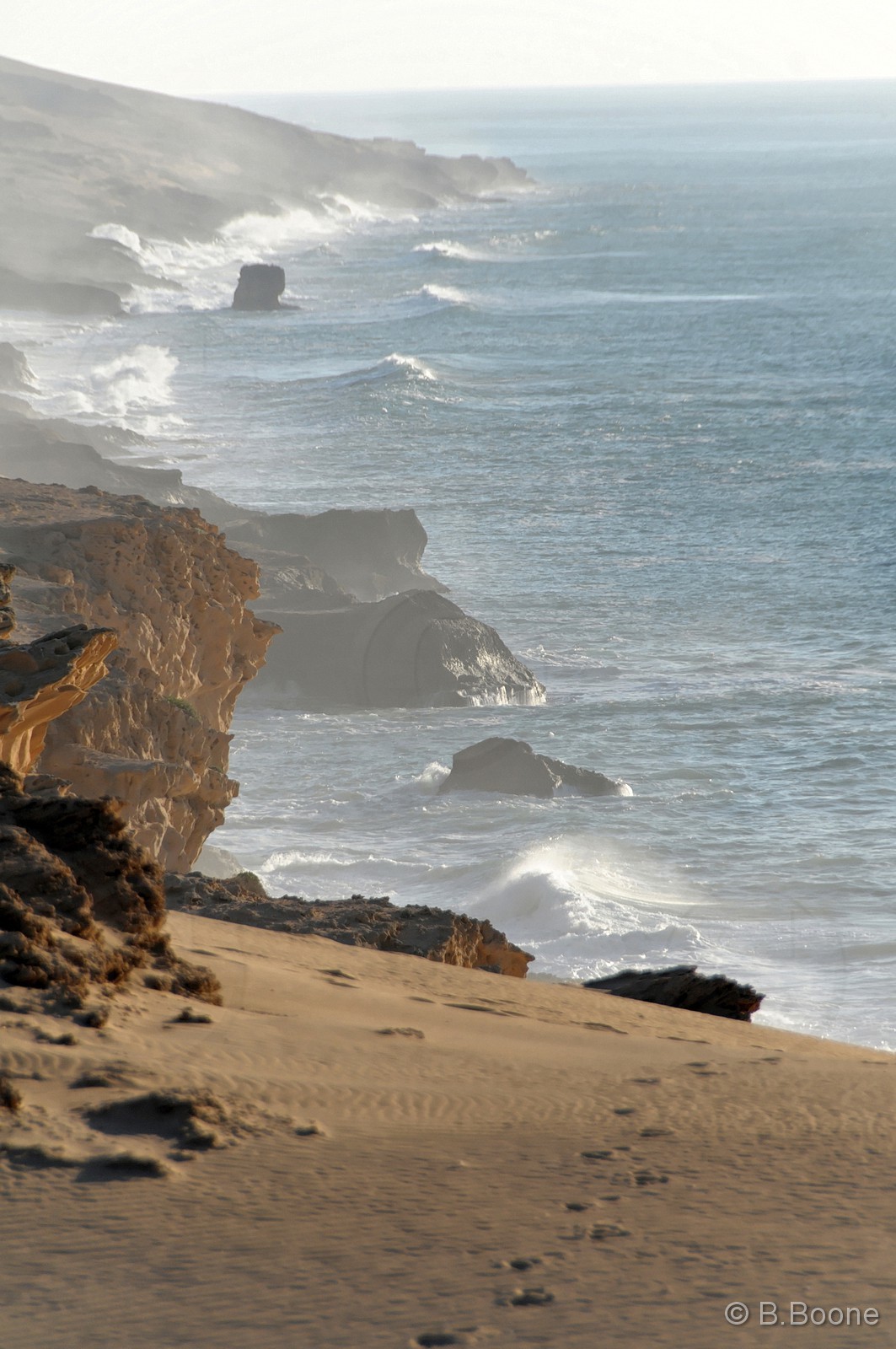 110208-562©B.Boone