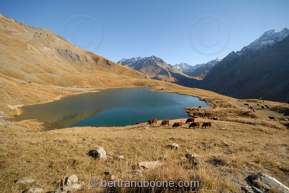lac du pontet(05)