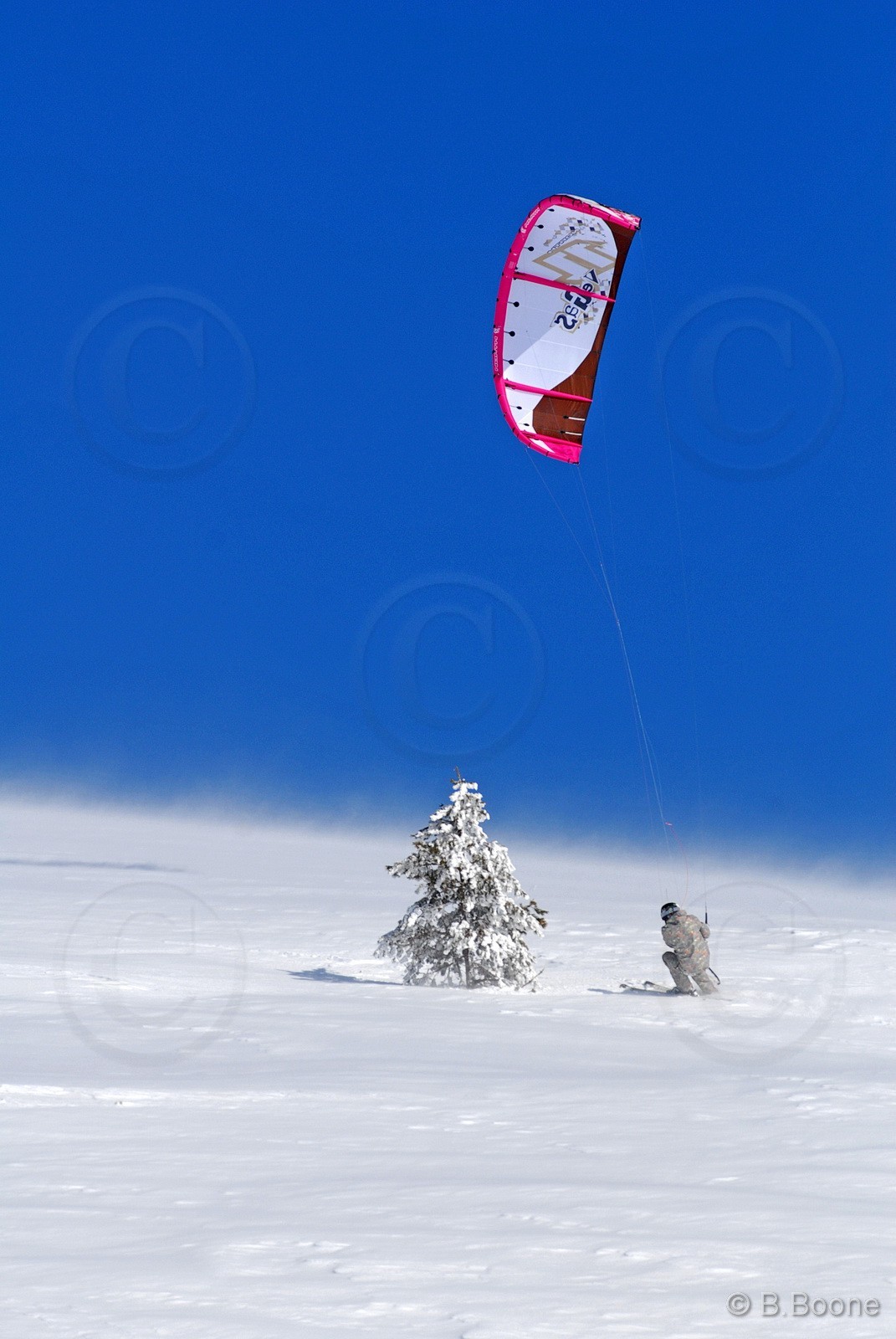 090218-337©B.Boone